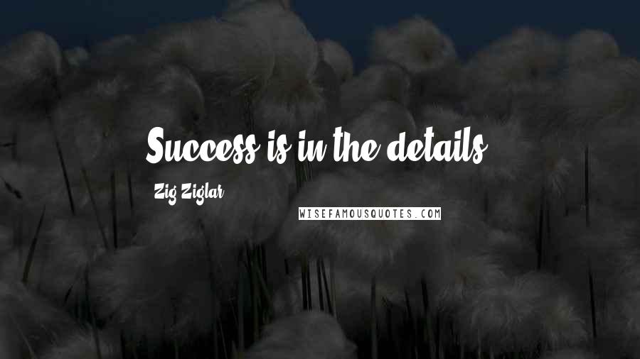 Zig Ziglar Quotes: Success is in the details.