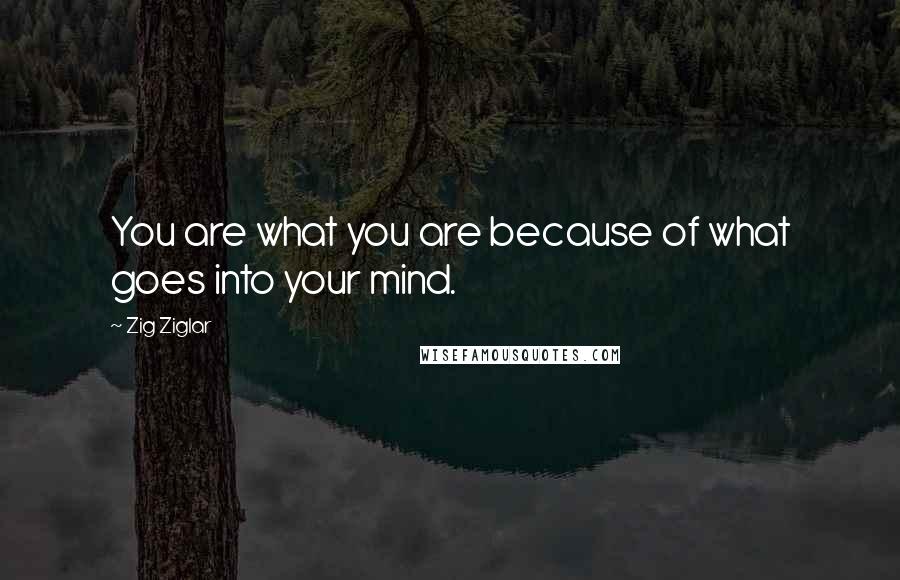 Zig Ziglar Quotes: You are what you are because of what goes into your mind.