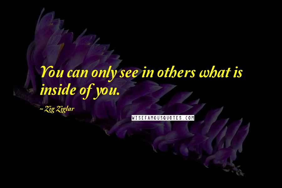 Zig Ziglar Quotes: You can only see in others what is inside of you.