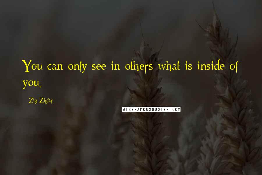 Zig Ziglar Quotes: You can only see in others what is inside of you.