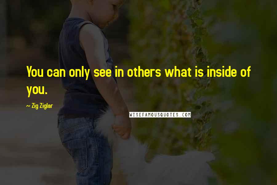 Zig Ziglar Quotes: You can only see in others what is inside of you.