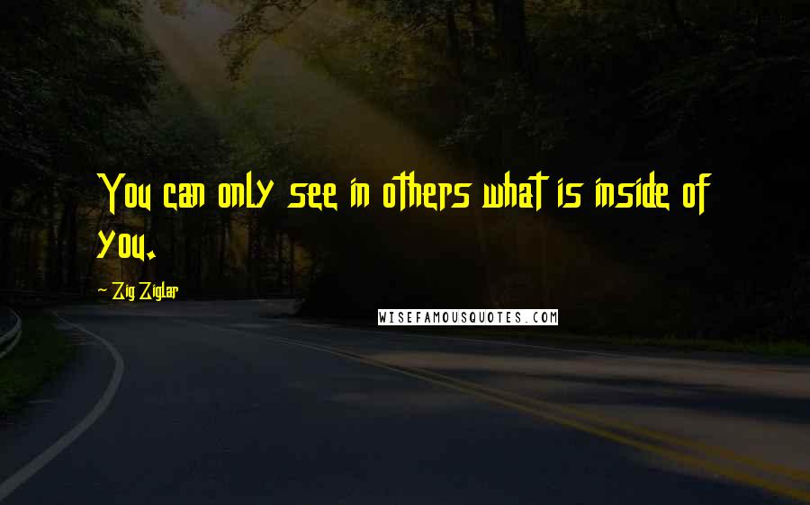 Zig Ziglar Quotes: You can only see in others what is inside of you.