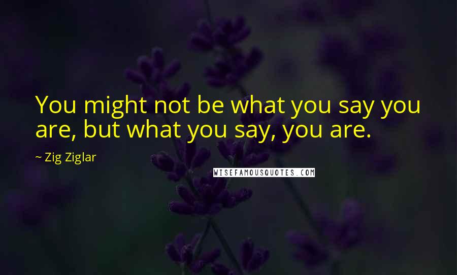 Zig Ziglar Quotes: You might not be what you say you are, but what you say, you are.