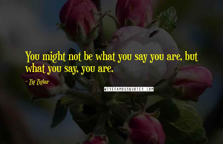 Zig Ziglar Quotes: You might not be what you say you are, but what you say, you are.