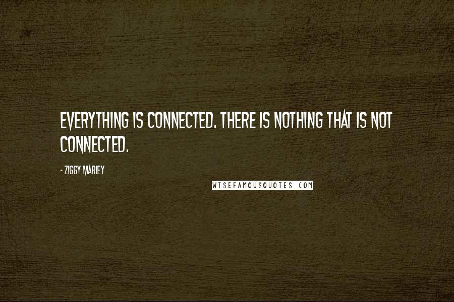 Ziggy Marley Quotes: Everything is connected. There is nothing that is not connected.