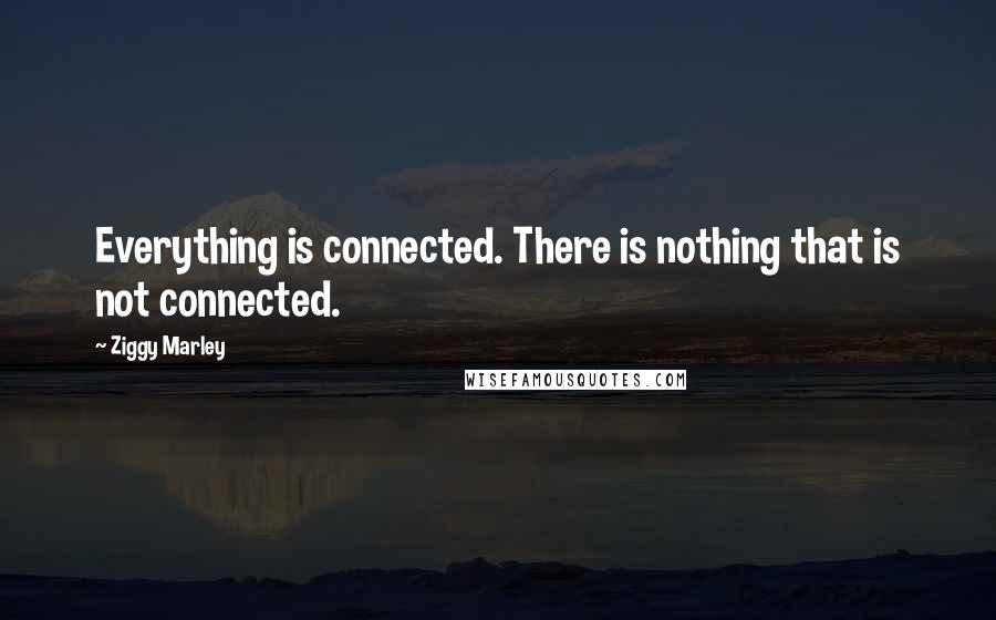 Ziggy Marley Quotes: Everything is connected. There is nothing that is not connected.