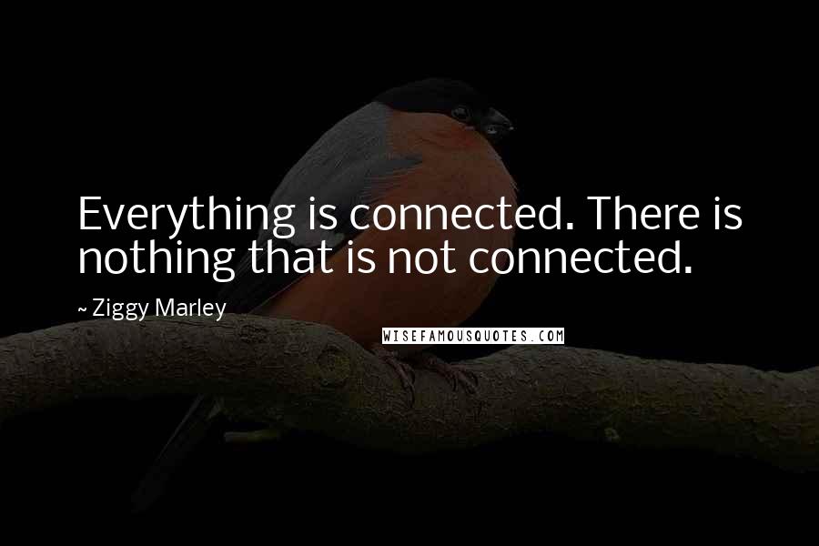 Ziggy Marley Quotes: Everything is connected. There is nothing that is not connected.