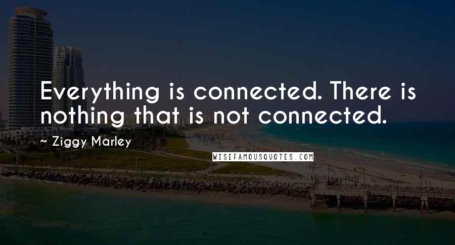 Ziggy Marley Quotes: Everything is connected. There is nothing that is not connected.