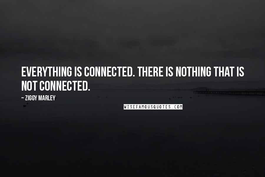 Ziggy Marley Quotes: Everything is connected. There is nothing that is not connected.