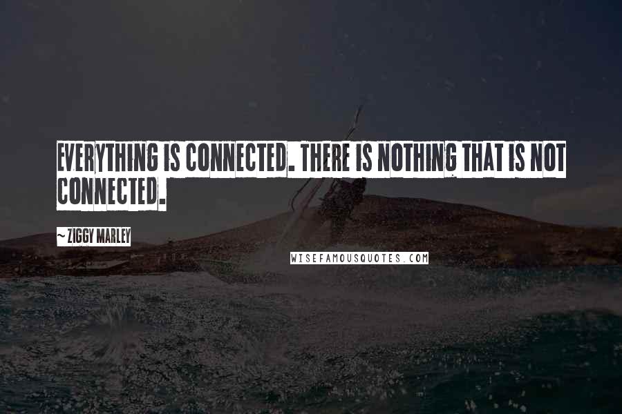 Ziggy Marley Quotes: Everything is connected. There is nothing that is not connected.