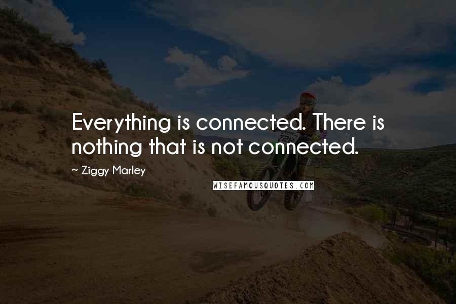 Ziggy Marley Quotes: Everything is connected. There is nothing that is not connected.