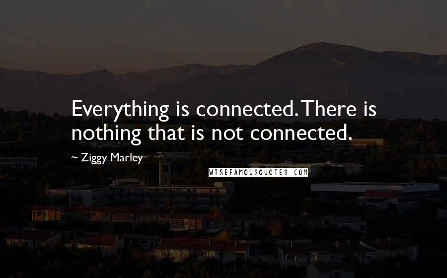 Ziggy Marley Quotes: Everything is connected. There is nothing that is not connected.