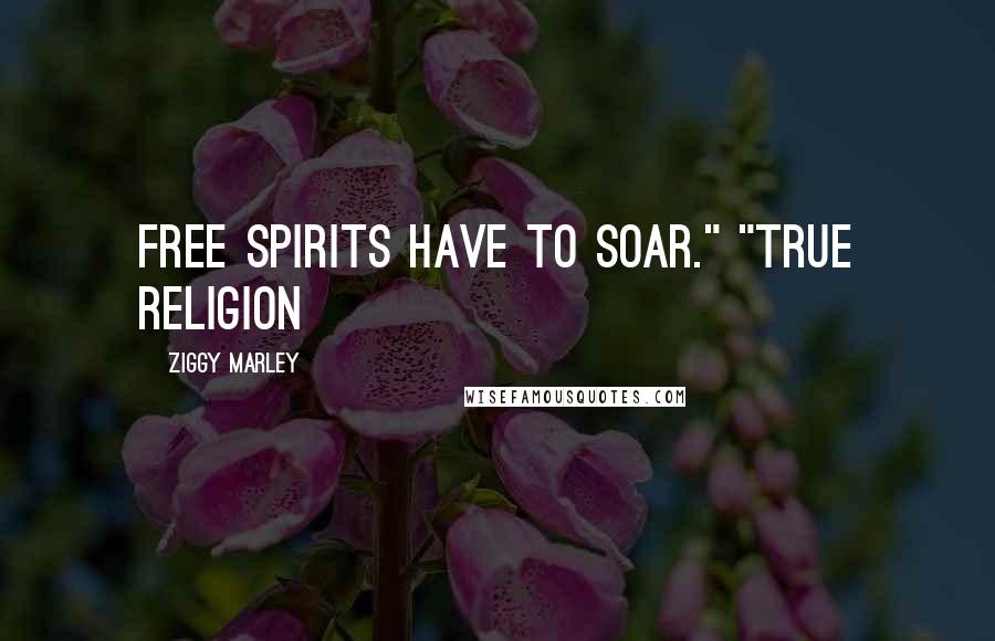 Ziggy Marley Quotes: Free spirits have to soar." "True Religion