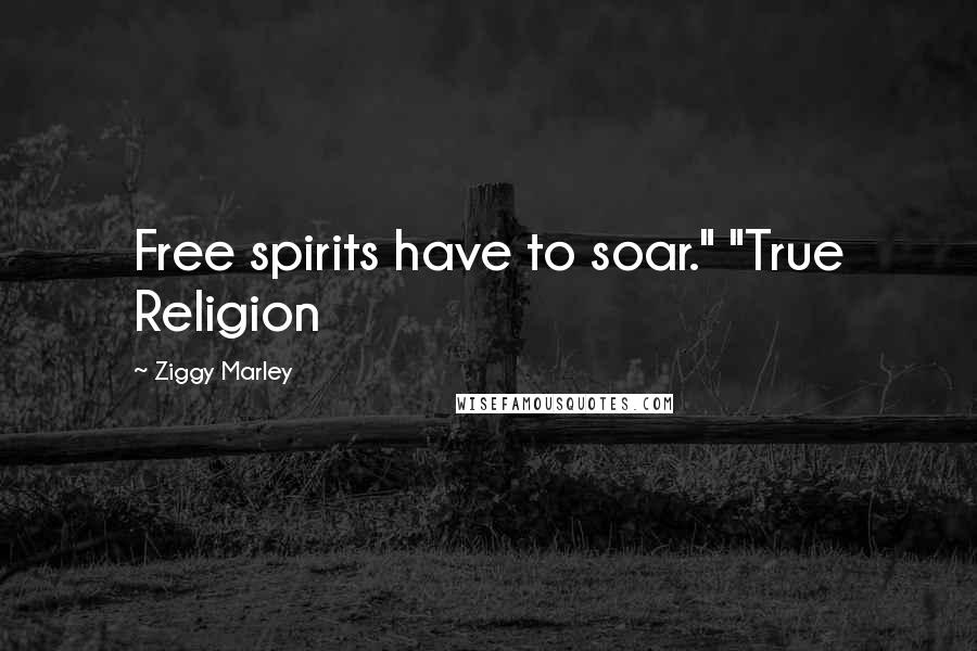 Ziggy Marley Quotes: Free spirits have to soar." "True Religion