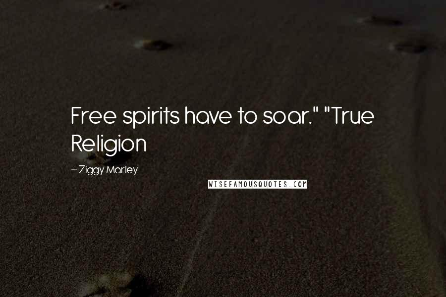 Ziggy Marley Quotes: Free spirits have to soar." "True Religion