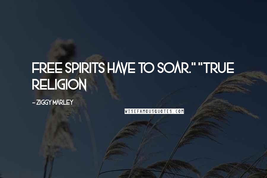 Ziggy Marley Quotes: Free spirits have to soar." "True Religion