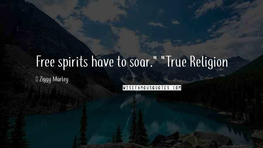 Ziggy Marley Quotes: Free spirits have to soar." "True Religion