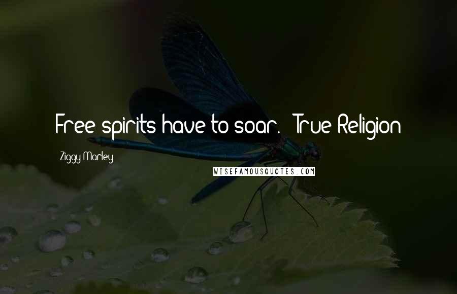 Ziggy Marley Quotes: Free spirits have to soar." "True Religion