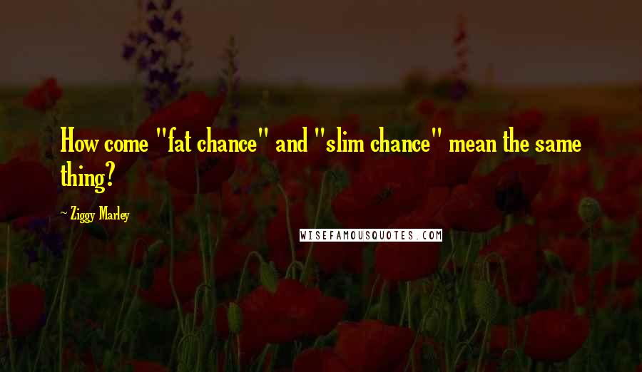 Ziggy Marley Quotes: How come "fat chance" and "slim chance" mean the same thing?