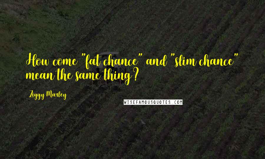 Ziggy Marley Quotes: How come "fat chance" and "slim chance" mean the same thing?