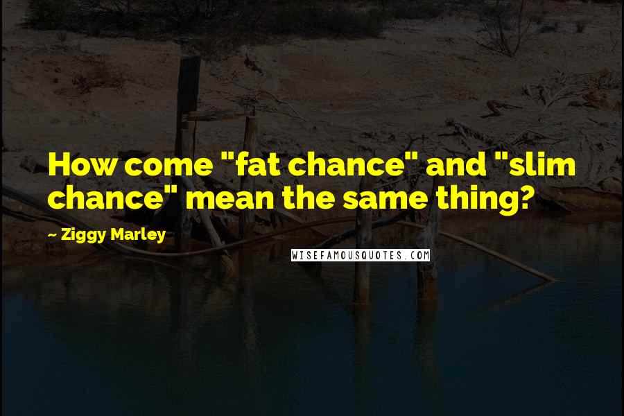 Ziggy Marley Quotes: How come "fat chance" and "slim chance" mean the same thing?