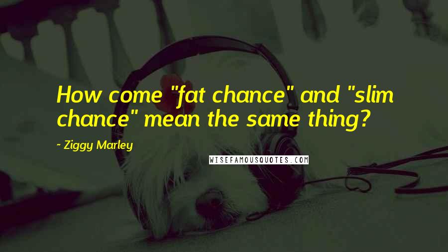 Ziggy Marley Quotes: How come "fat chance" and "slim chance" mean the same thing?