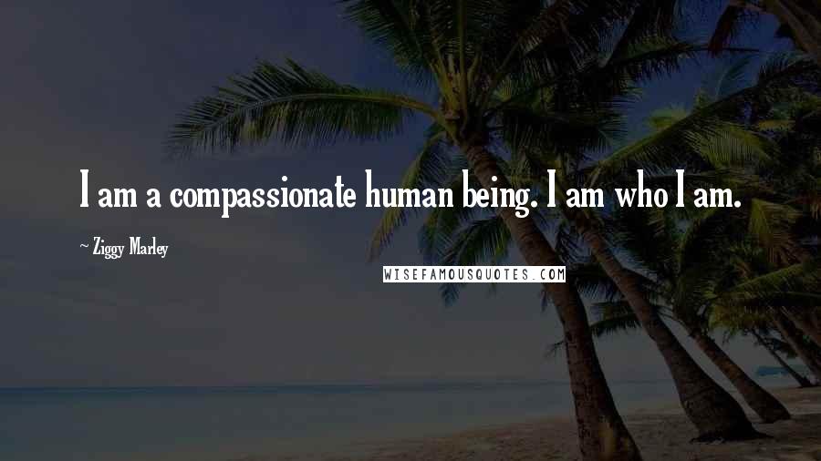 Ziggy Marley Quotes: I am a compassionate human being. I am who I am.