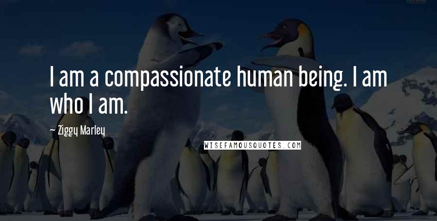 Ziggy Marley Quotes: I am a compassionate human being. I am who I am.