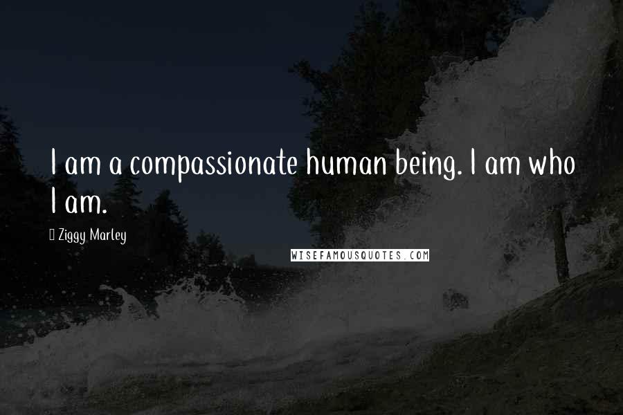 Ziggy Marley Quotes: I am a compassionate human being. I am who I am.