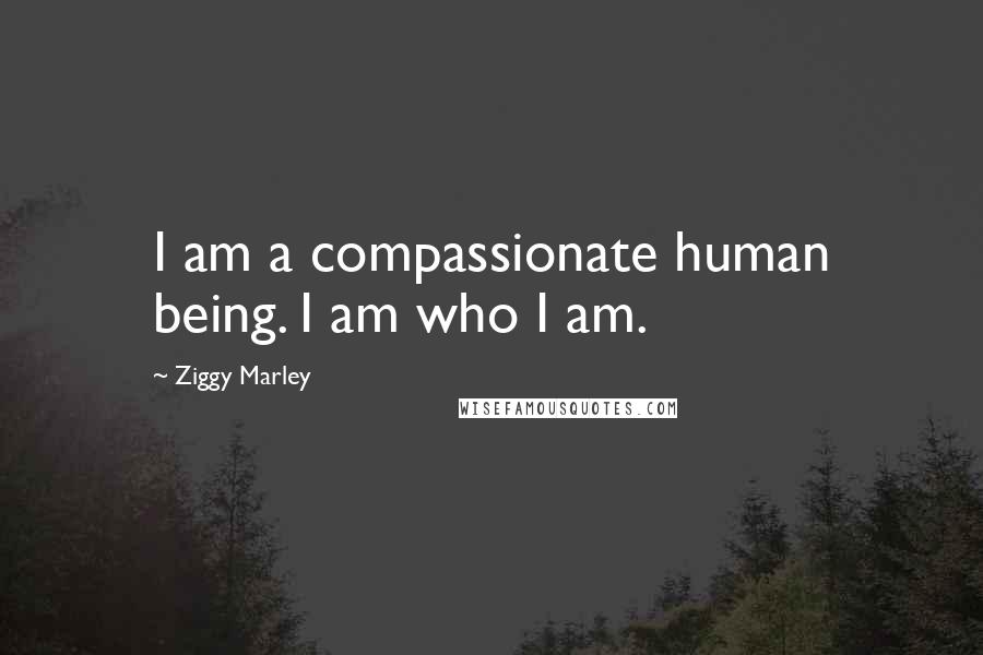 Ziggy Marley Quotes: I am a compassionate human being. I am who I am.