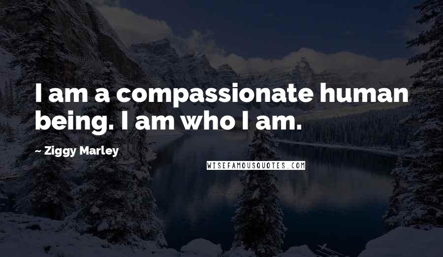 Ziggy Marley Quotes: I am a compassionate human being. I am who I am.