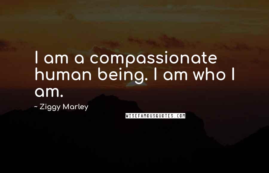 Ziggy Marley Quotes: I am a compassionate human being. I am who I am.