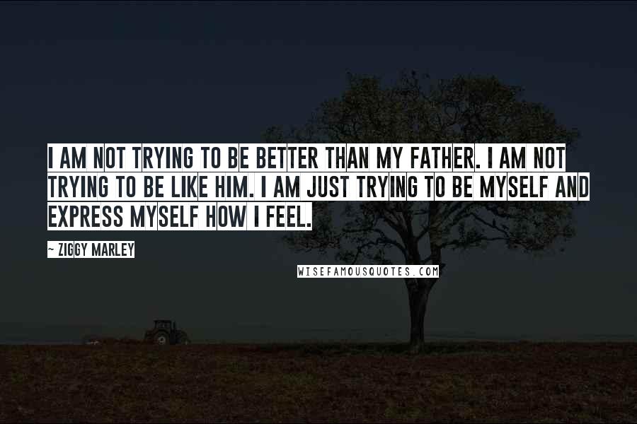 Ziggy Marley Quotes: I am not trying to be better than my father. I am not trying to be like him. I am just trying to be myself and express myself how I feel.