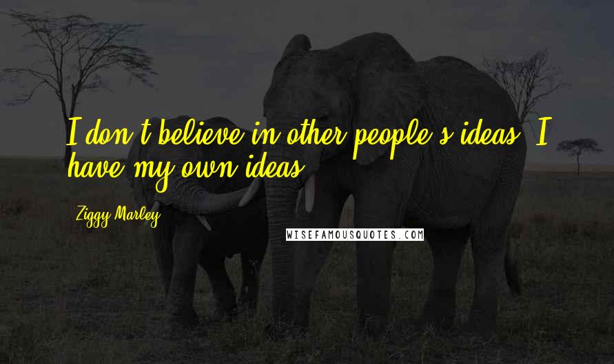 Ziggy Marley Quotes: I don't believe in other people's ideas. I have my own ideas.