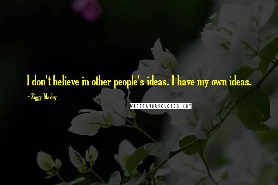 Ziggy Marley Quotes: I don't believe in other people's ideas. I have my own ideas.