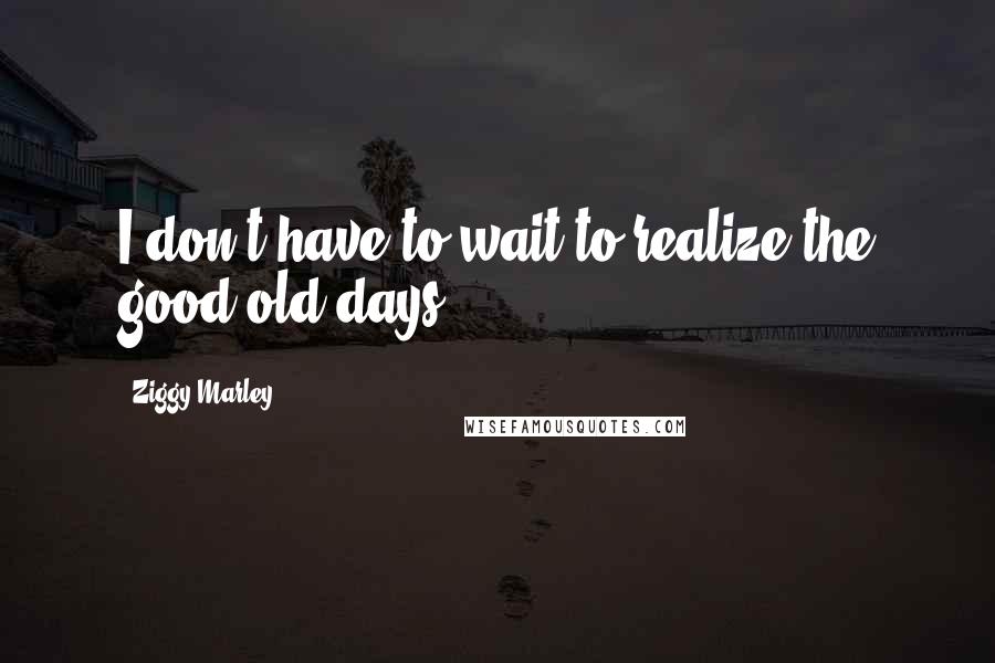 Ziggy Marley Quotes: I don't have to wait to realize the good old days.