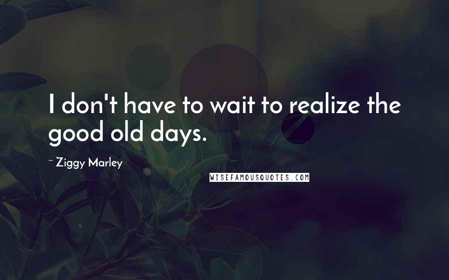 Ziggy Marley Quotes: I don't have to wait to realize the good old days.