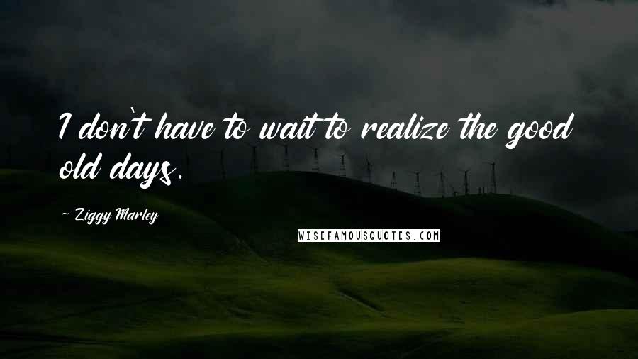 Ziggy Marley Quotes: I don't have to wait to realize the good old days.