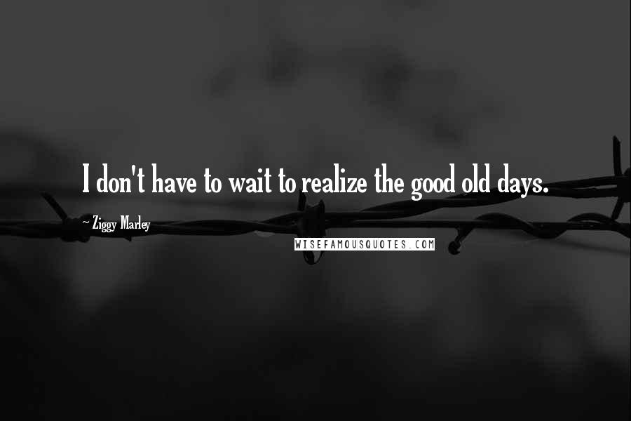 Ziggy Marley Quotes: I don't have to wait to realize the good old days.