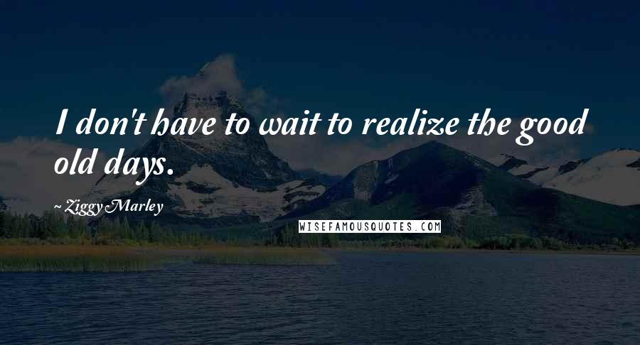 Ziggy Marley Quotes: I don't have to wait to realize the good old days.