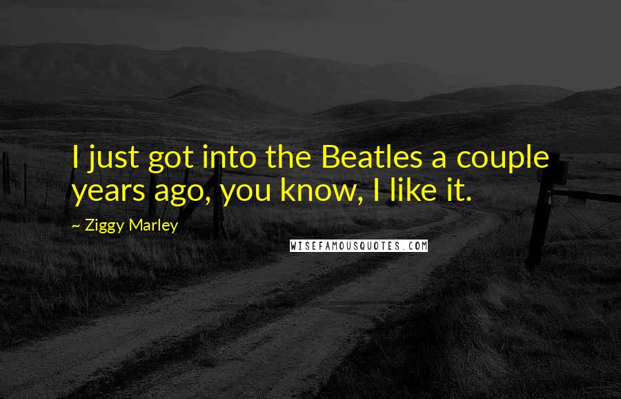 Ziggy Marley Quotes: I just got into the Beatles a couple years ago, you know, I like it.