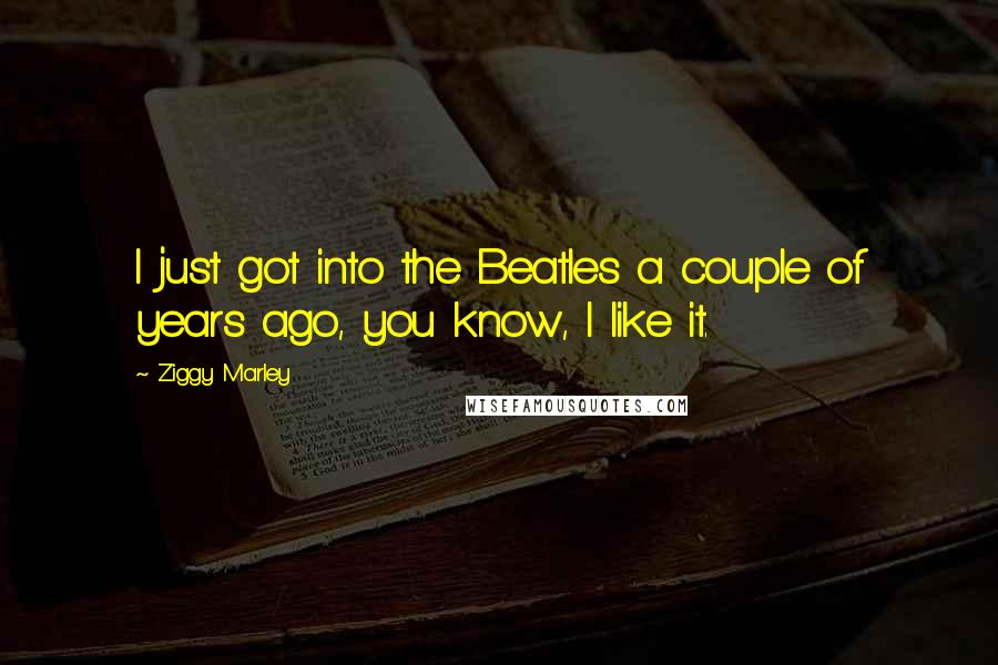 Ziggy Marley Quotes: I just got into the Beatles a couple of years ago, you know, I like it.