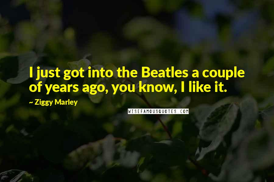 Ziggy Marley Quotes: I just got into the Beatles a couple of years ago, you know, I like it.