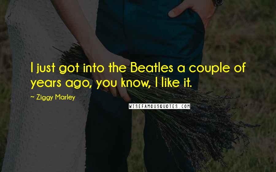 Ziggy Marley Quotes: I just got into the Beatles a couple of years ago, you know, I like it.