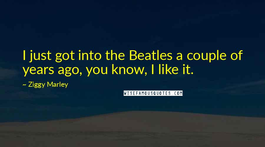 Ziggy Marley Quotes: I just got into the Beatles a couple of years ago, you know, I like it.