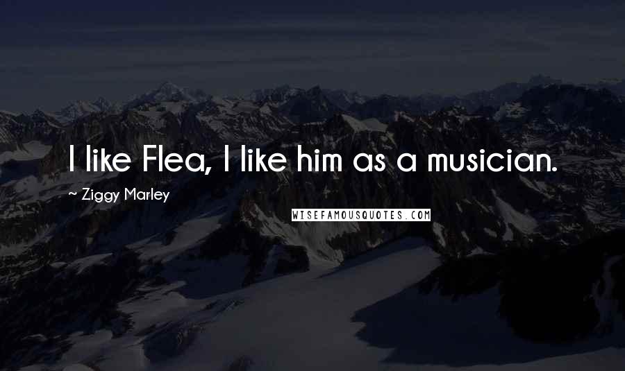 Ziggy Marley Quotes: I like Flea, I like him as a musician.