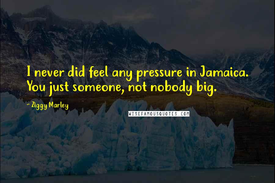 Ziggy Marley Quotes: I never did feel any pressure in Jamaica. You just someone, not nobody big.