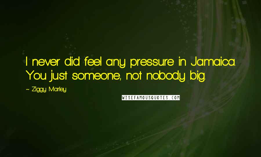 Ziggy Marley Quotes: I never did feel any pressure in Jamaica. You just someone, not nobody big.