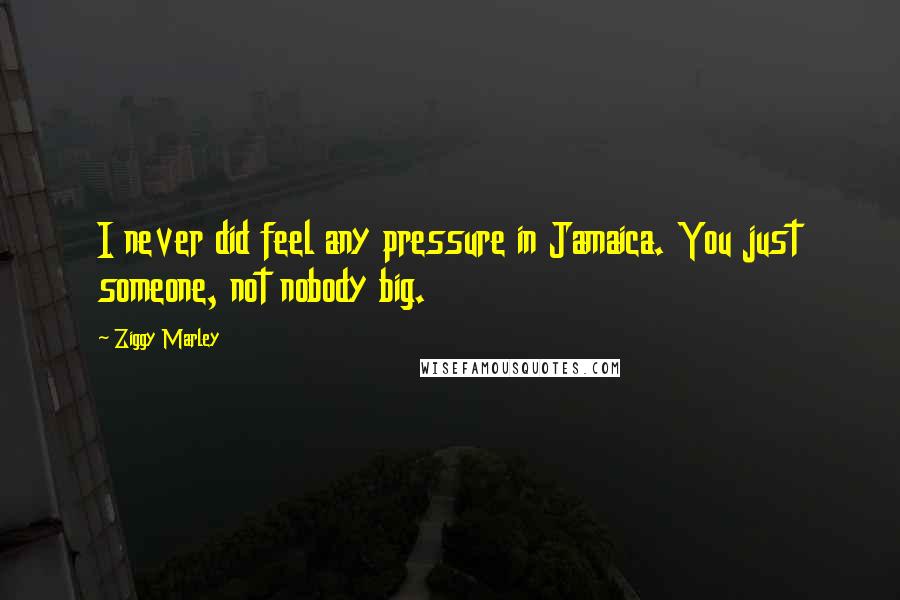 Ziggy Marley Quotes: I never did feel any pressure in Jamaica. You just someone, not nobody big.