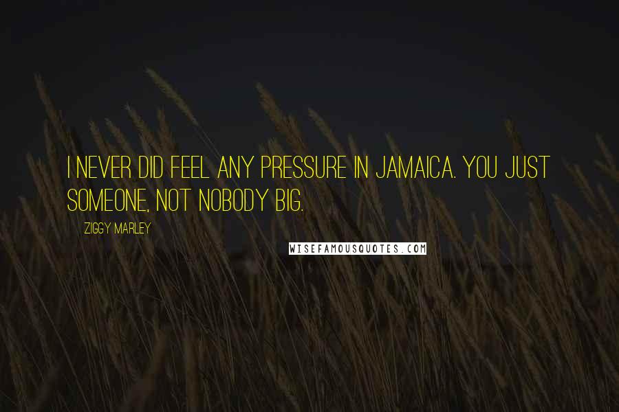 Ziggy Marley Quotes: I never did feel any pressure in Jamaica. You just someone, not nobody big.